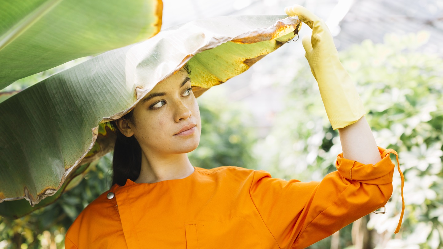 Công ty chuyên áo mưa chất lượng cao cho doanh nghiệp